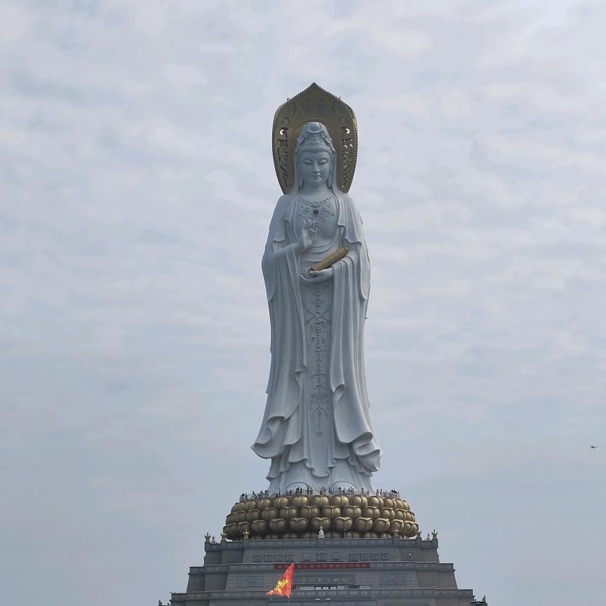 霞姐