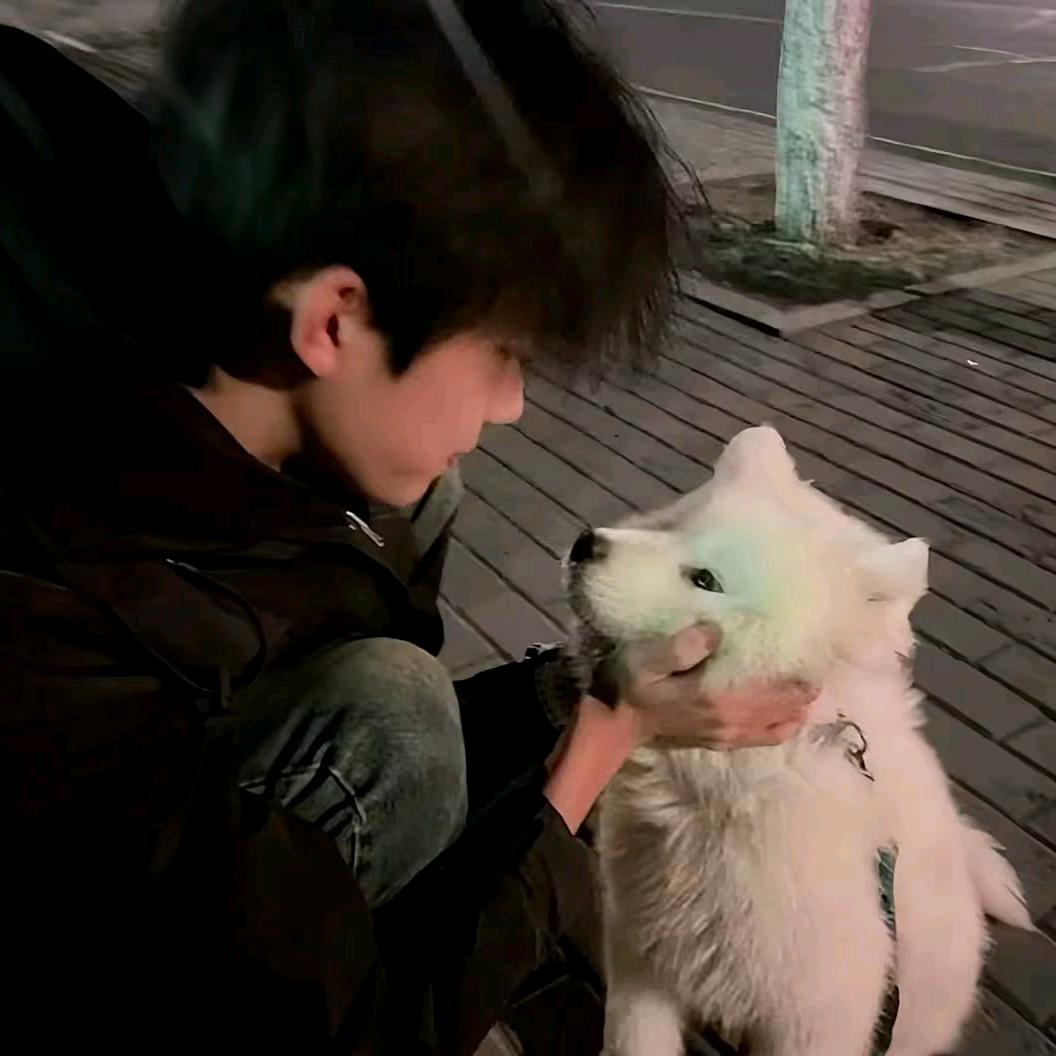 第十一条屑鱼✨