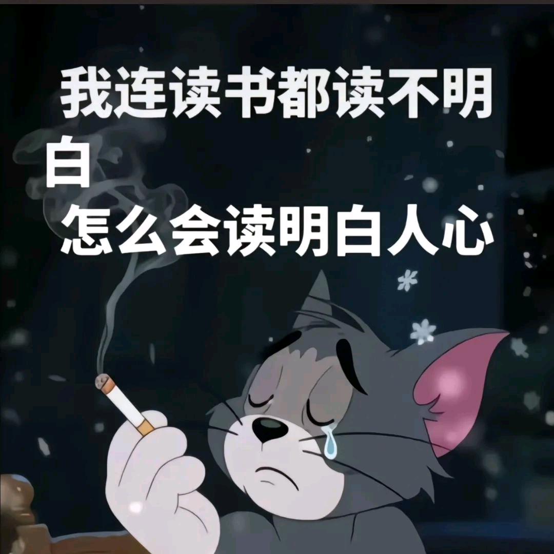 心已💔情已欠费无需再续