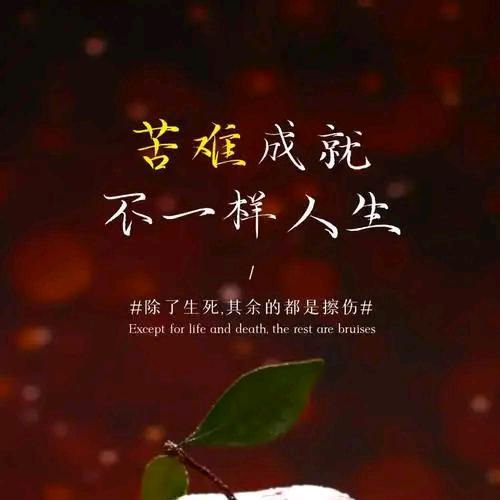 一切都是最好的安排