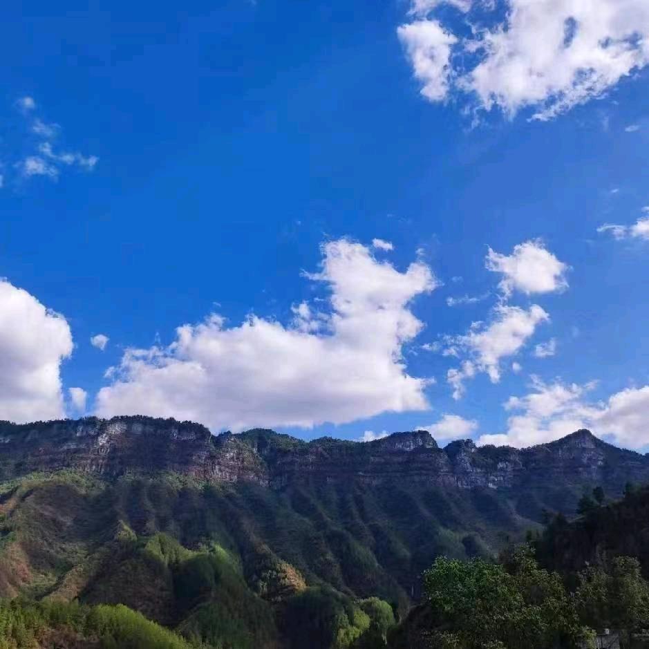小陈不偷懒
