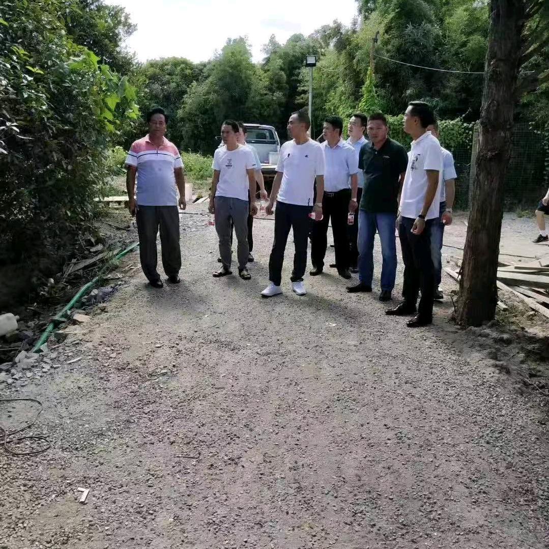 张帝60后