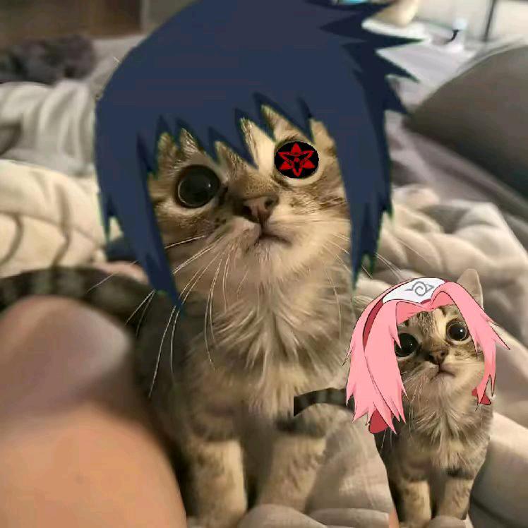 😈。