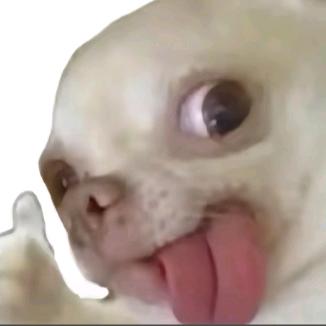 有限集