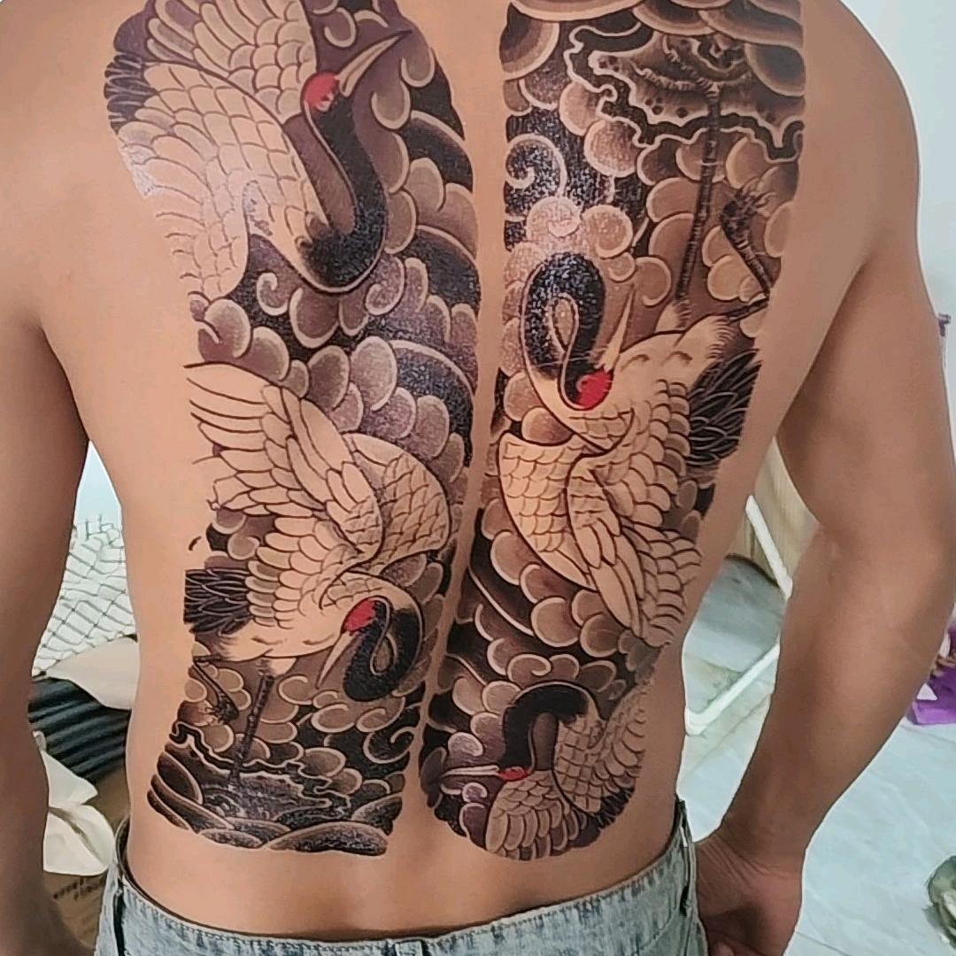 🌿遗憾¹⁺¹⁼³