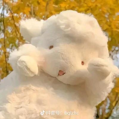 小羊困了就睡吧