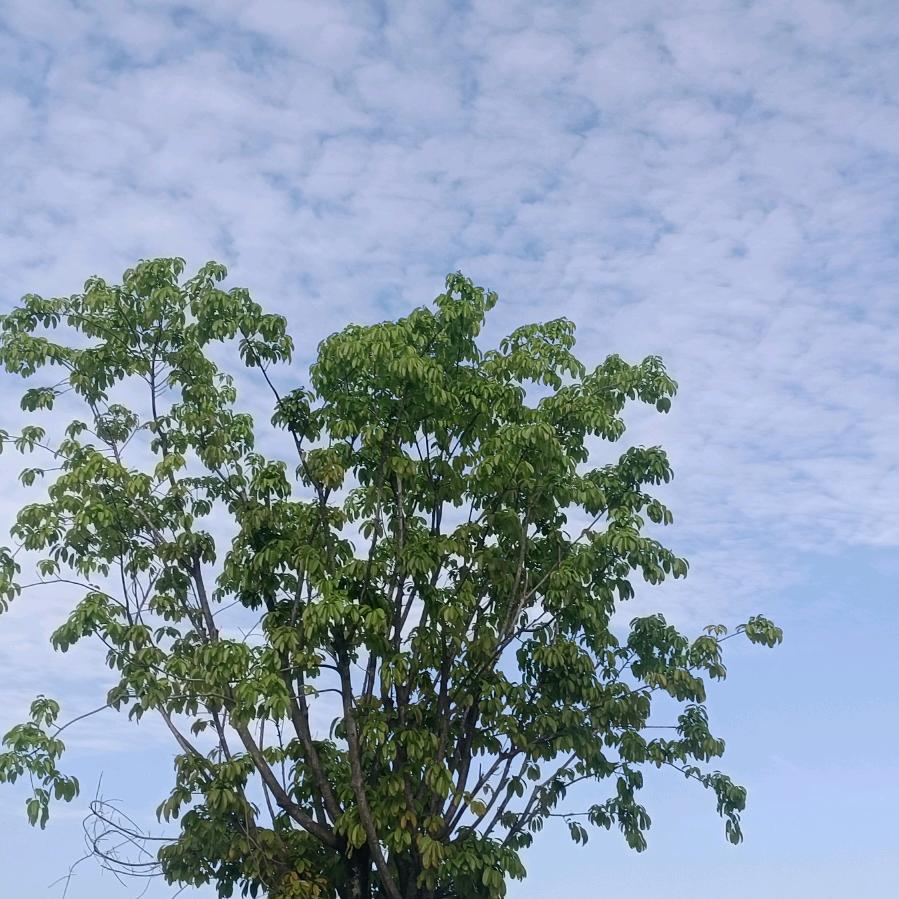 差三岁☜