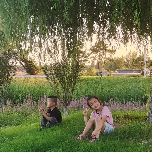 ۶恭喜发财我家三个宝