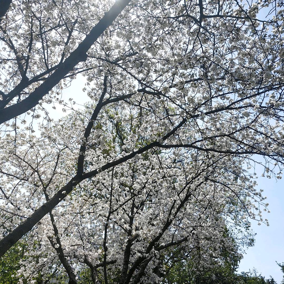 万里扬