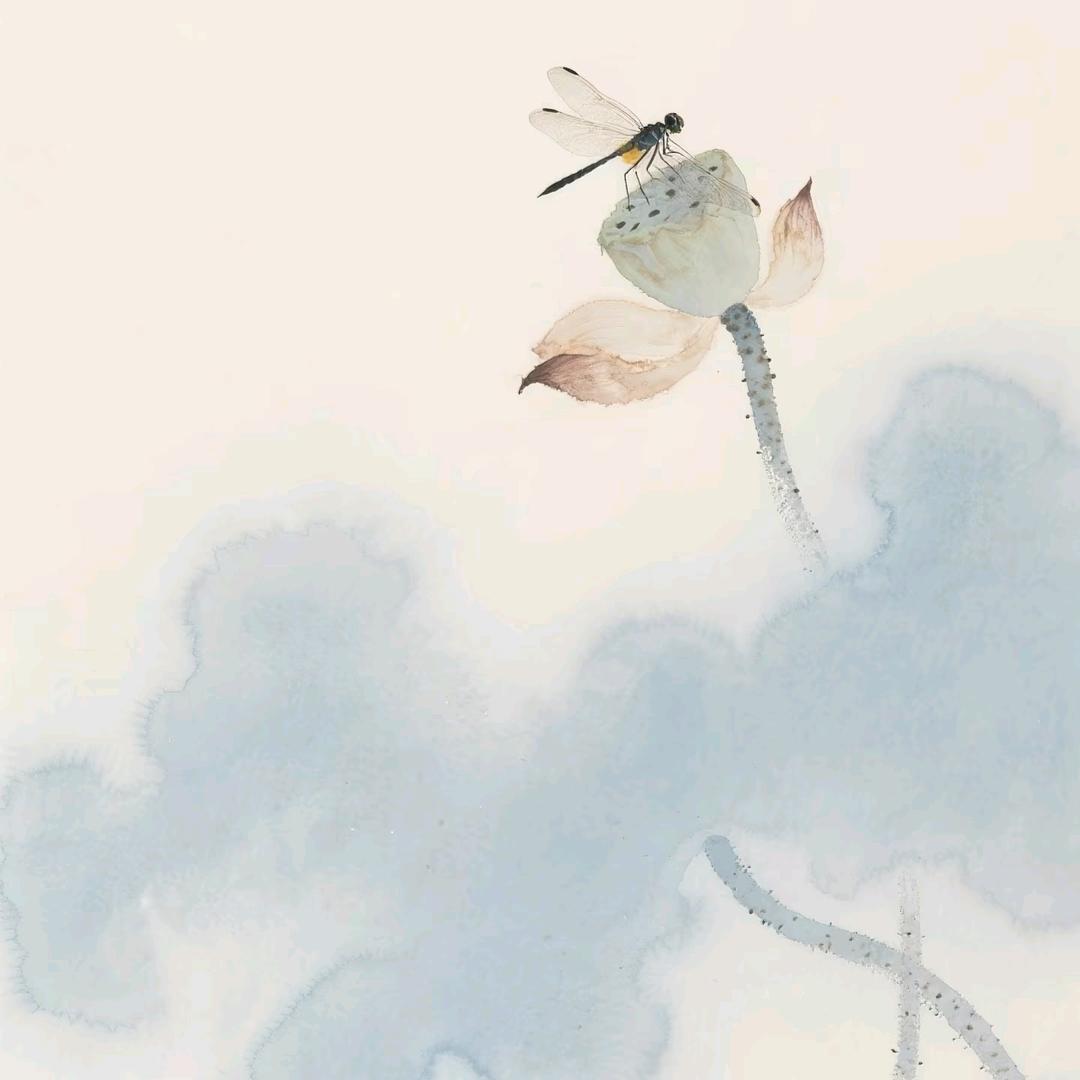 禹棠本草