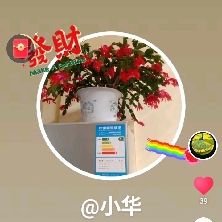 回忆思念