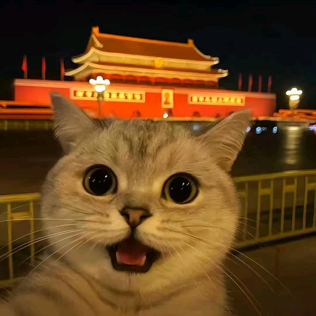 ⊙一烨⊙