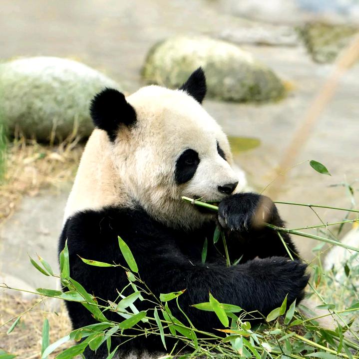 身处低谷不自弃（我命由我不由天）