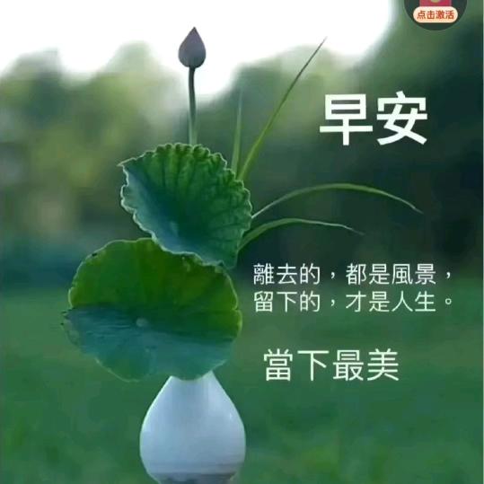 《李》雨🌧中☔️寻梦