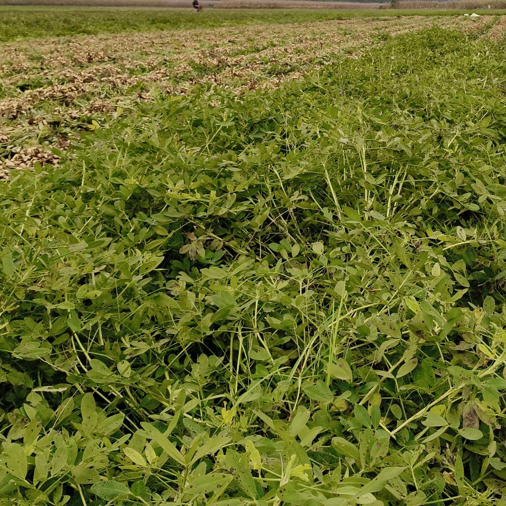 开心就好，，，，，