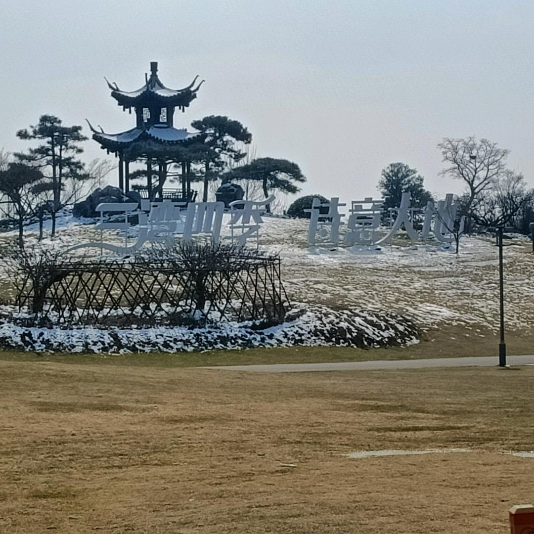步步为营(废金属回收)