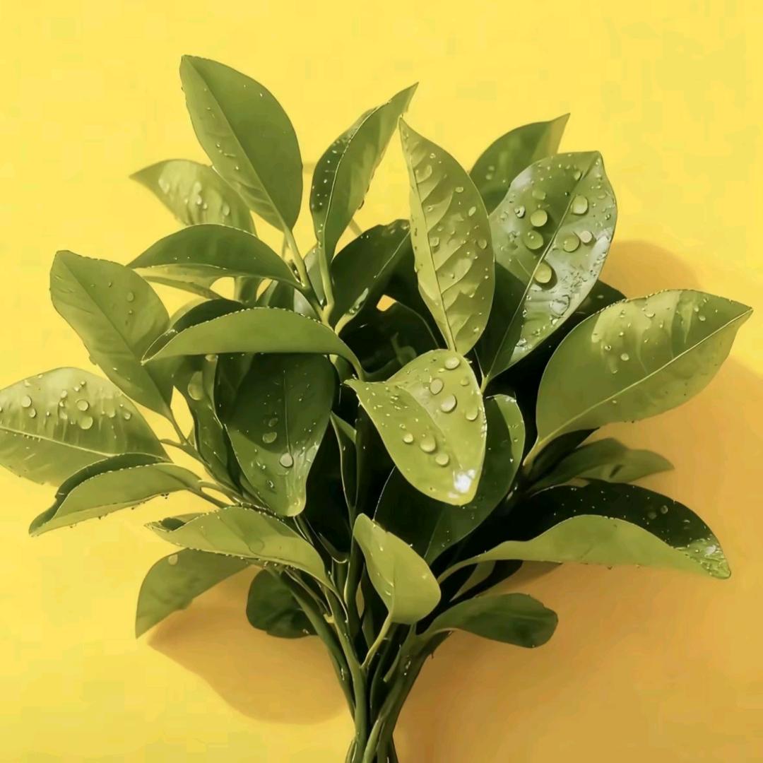 ꦿ如梦初醒᭄ღ