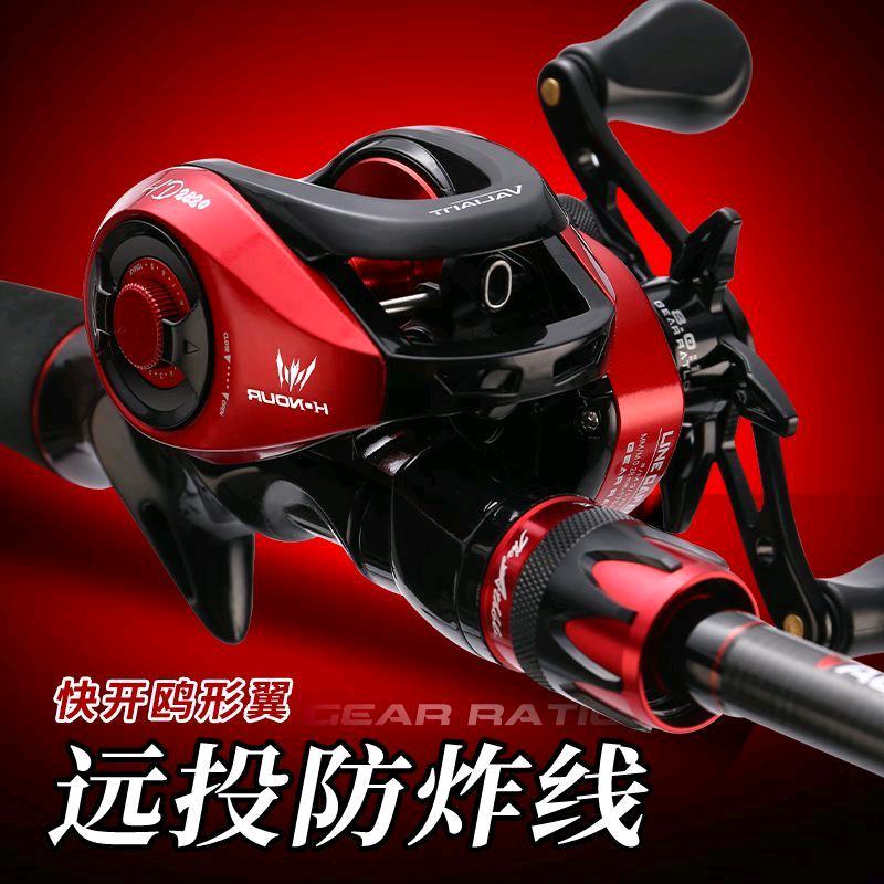 何公子路亚