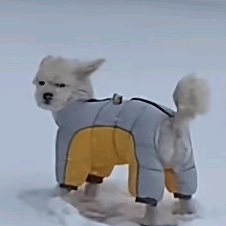 不小心撕裂术士