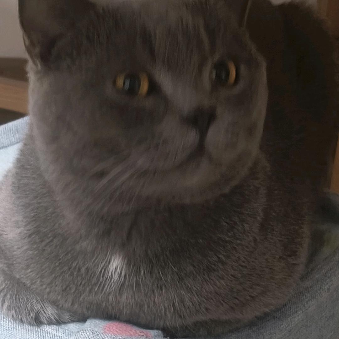 @@阿姐༊ღ