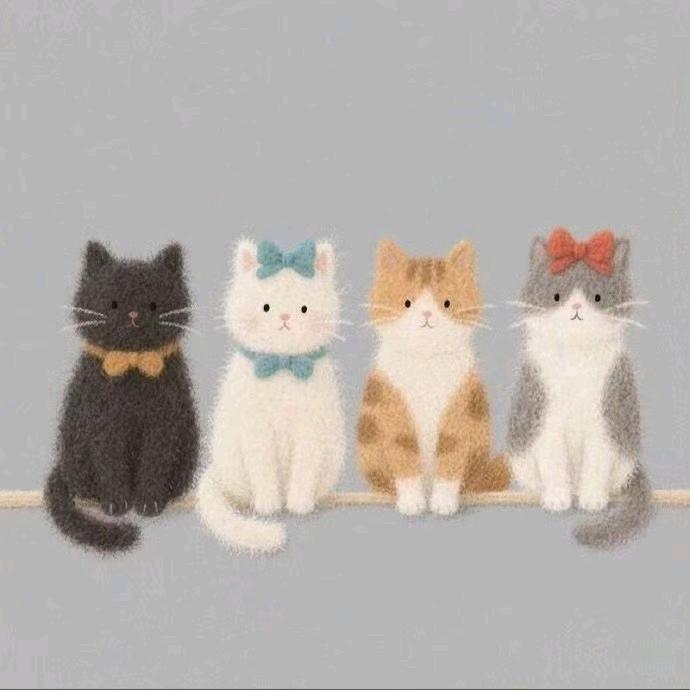 我还在