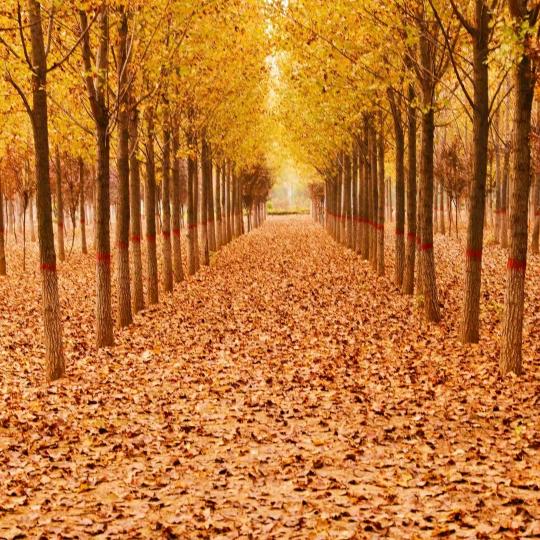 过好自己每一天🌹🌹🌹