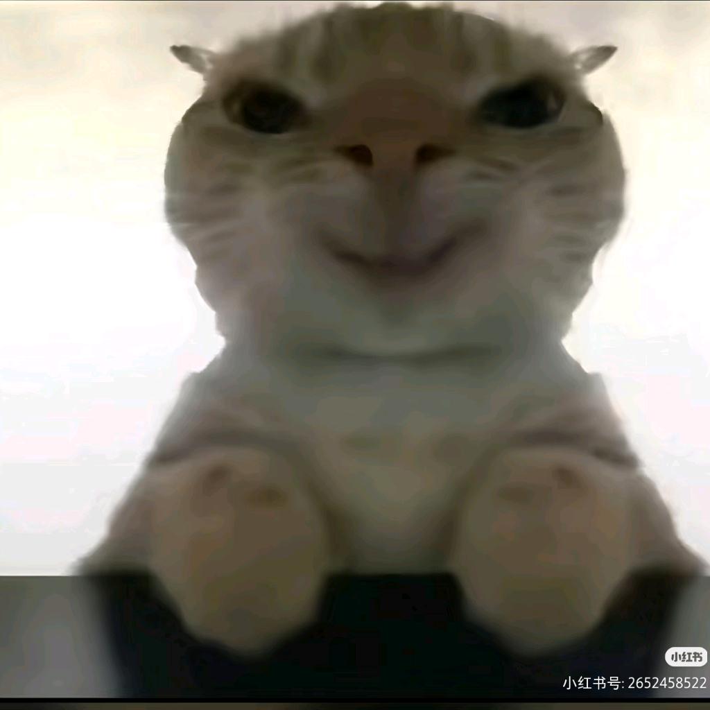 一凡（三角洲代肝）