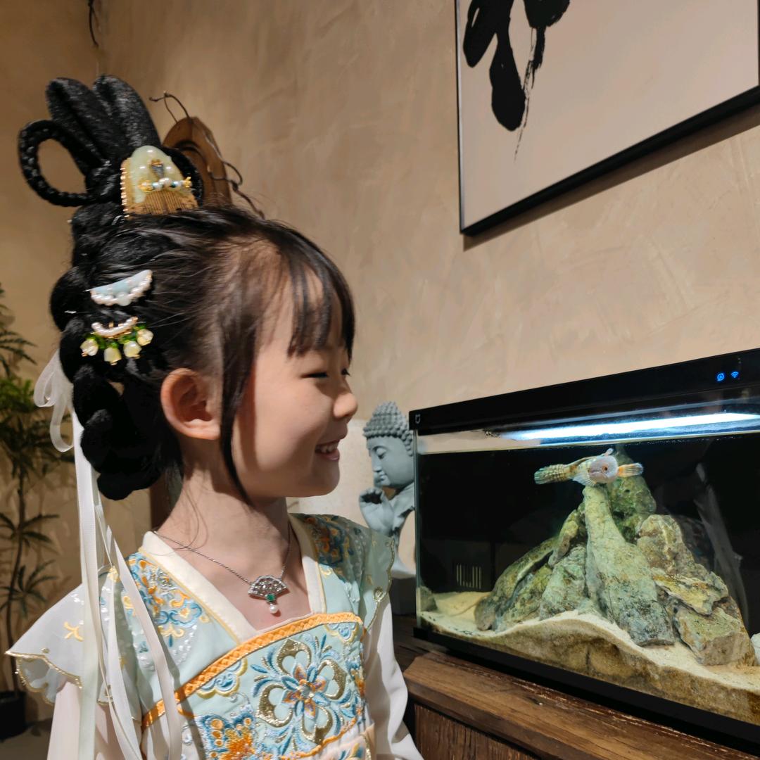猫头鹰专业英语规划🦉