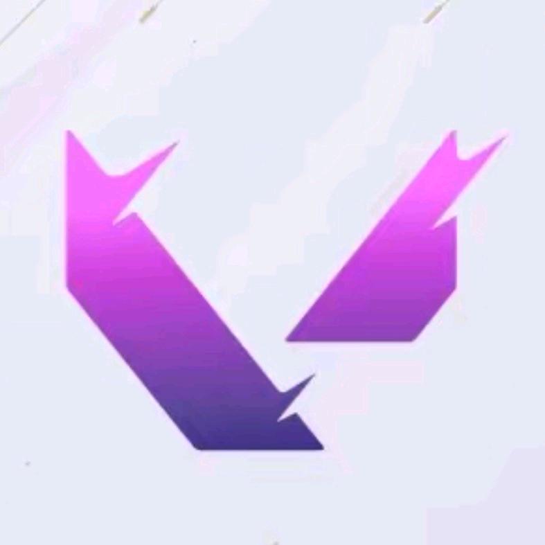 无畏契约o
