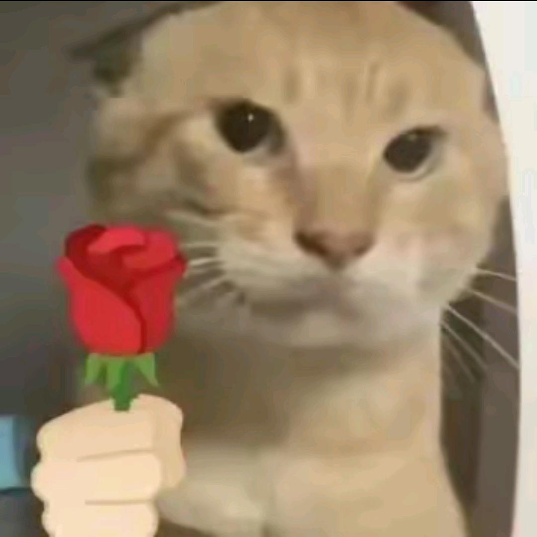赵钢炮