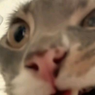 悟工