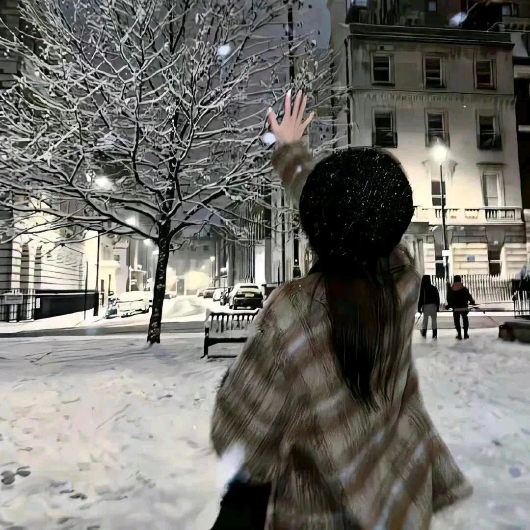 没人比我更懂睡觉💤