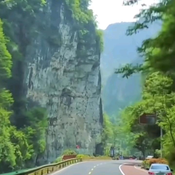 单身妹