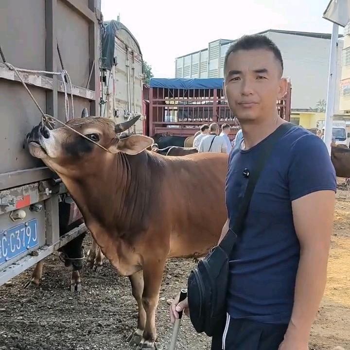 小程哥