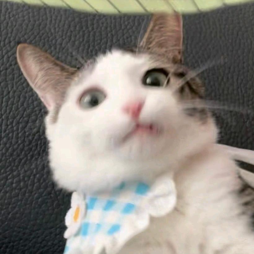 EricOwen