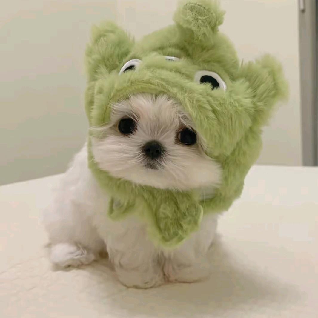 赫凯科技