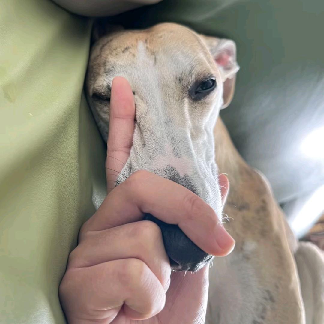 林百万