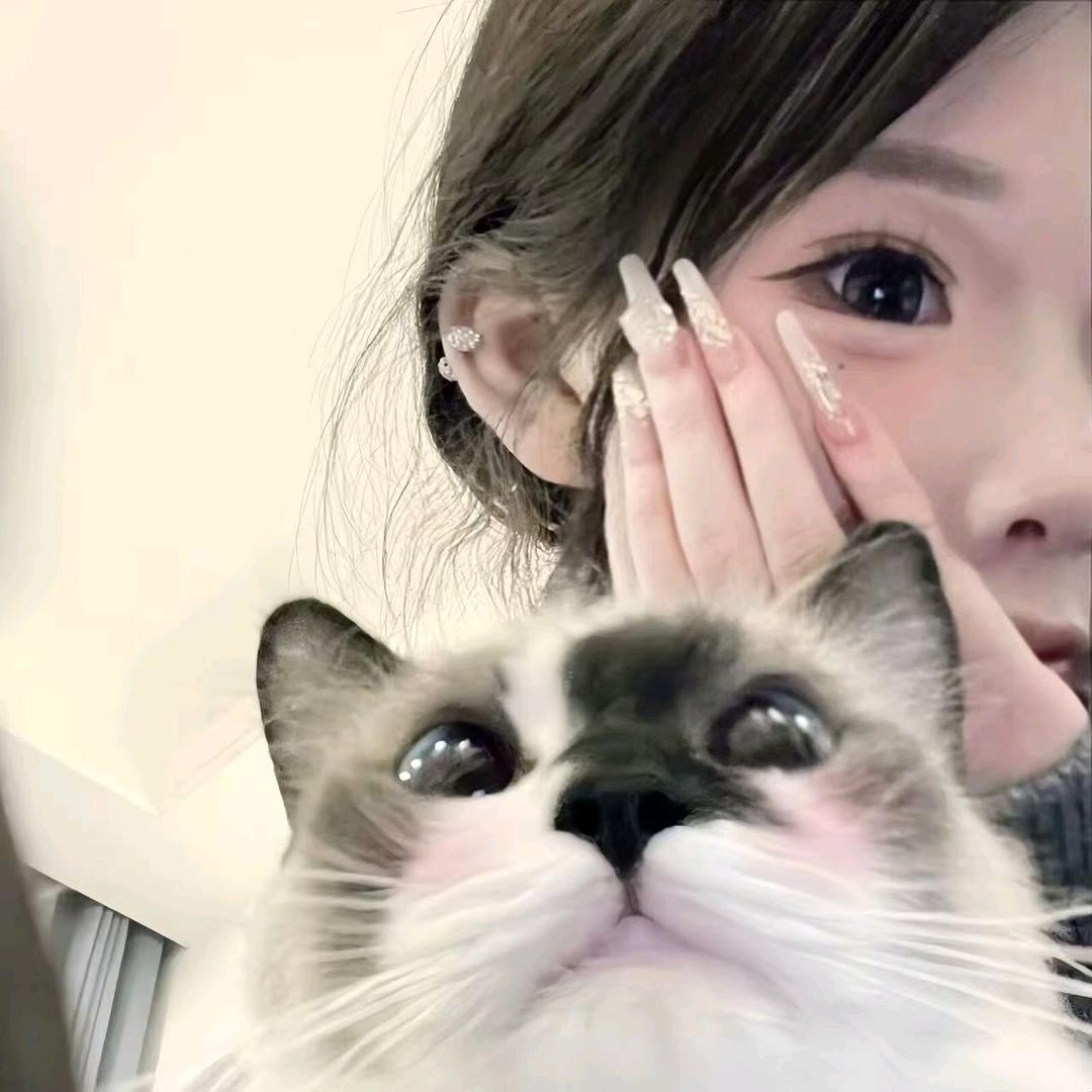!!黄姐