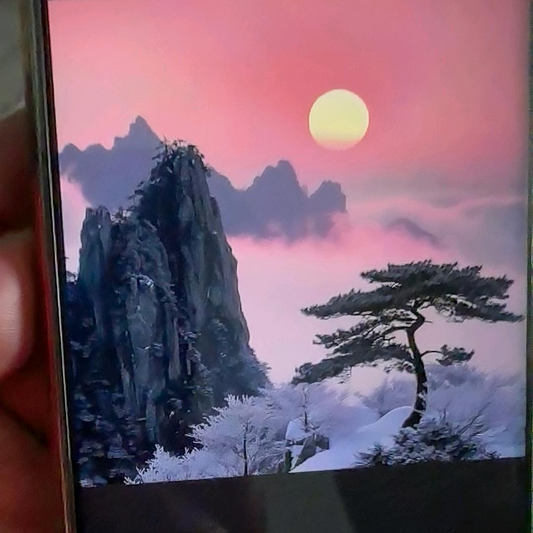 自由的风
