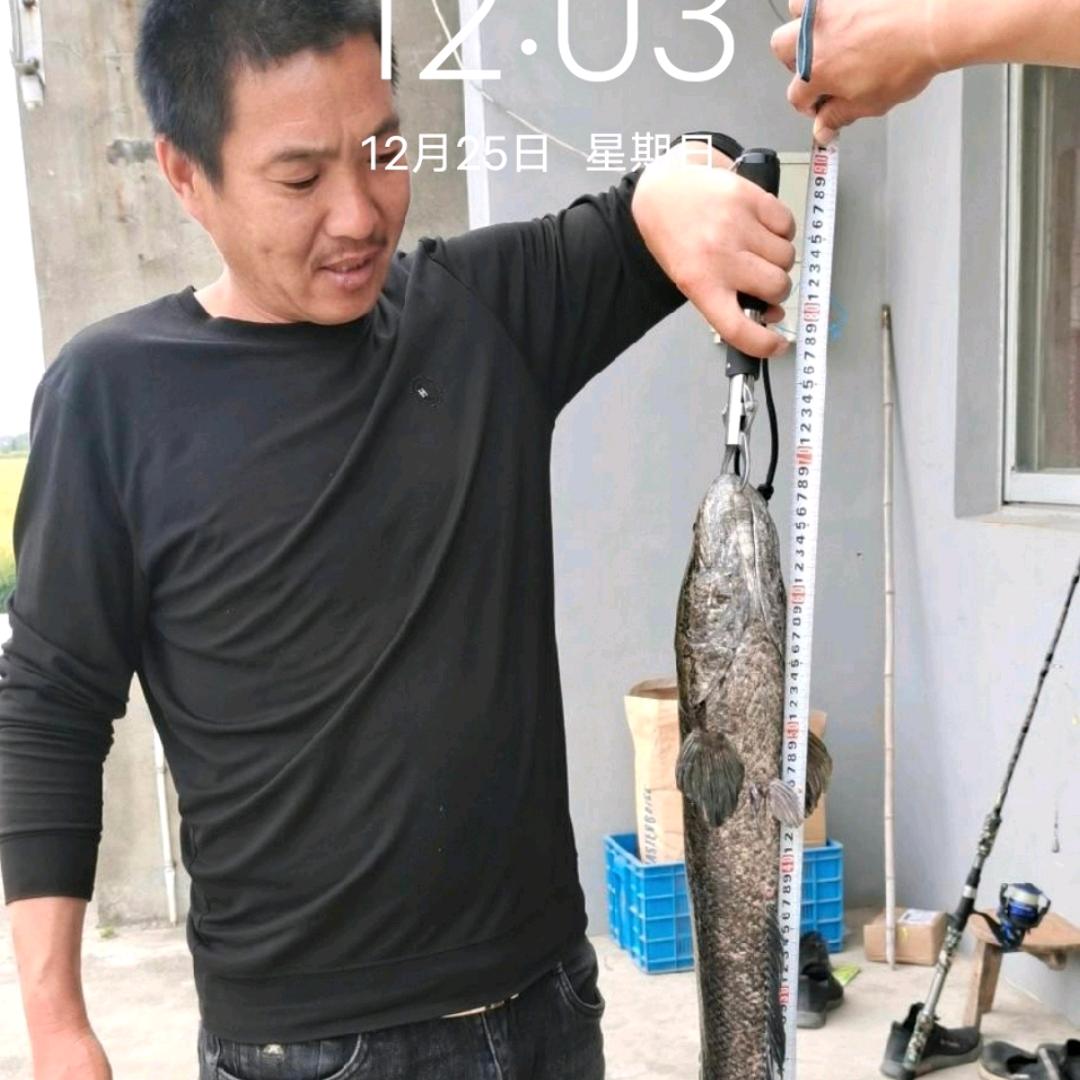 朱长领