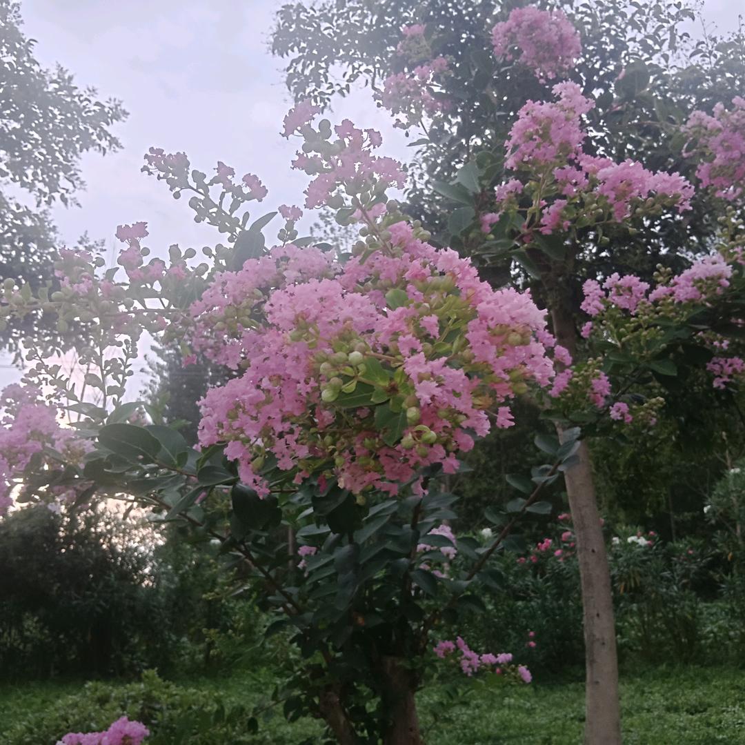 晴姐