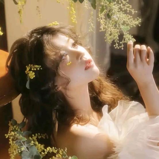 FS．花未眠（团队纳新）