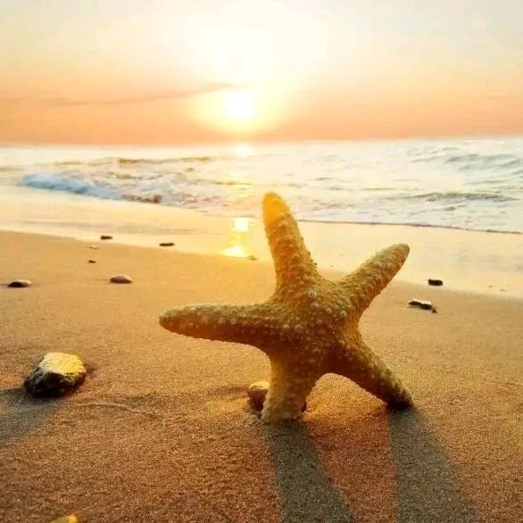 海星拾光📸