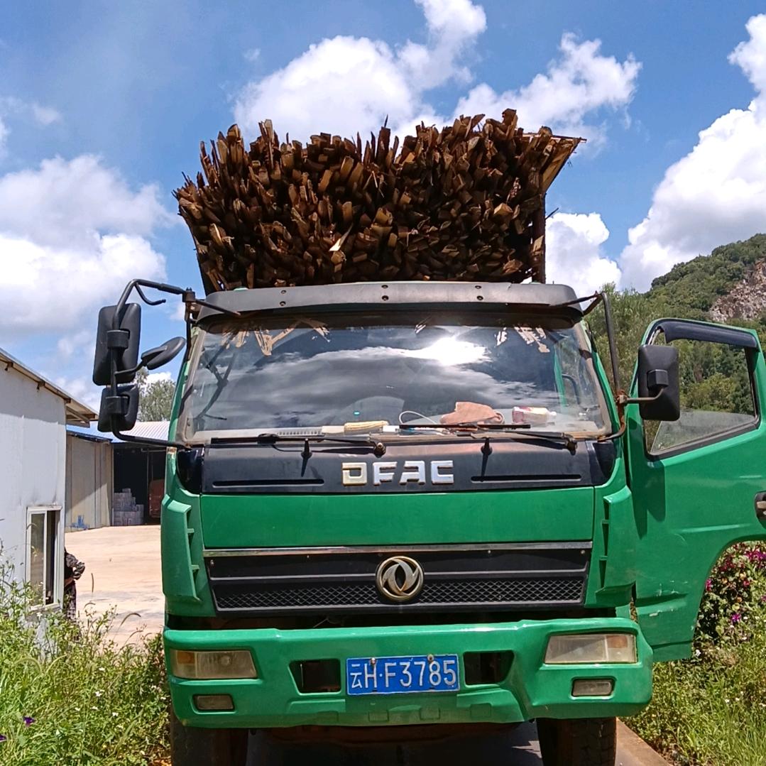 东山再起🔥🔥🔥