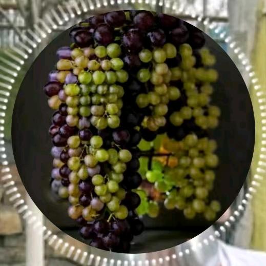 有多大屁股，穿多大裤衩