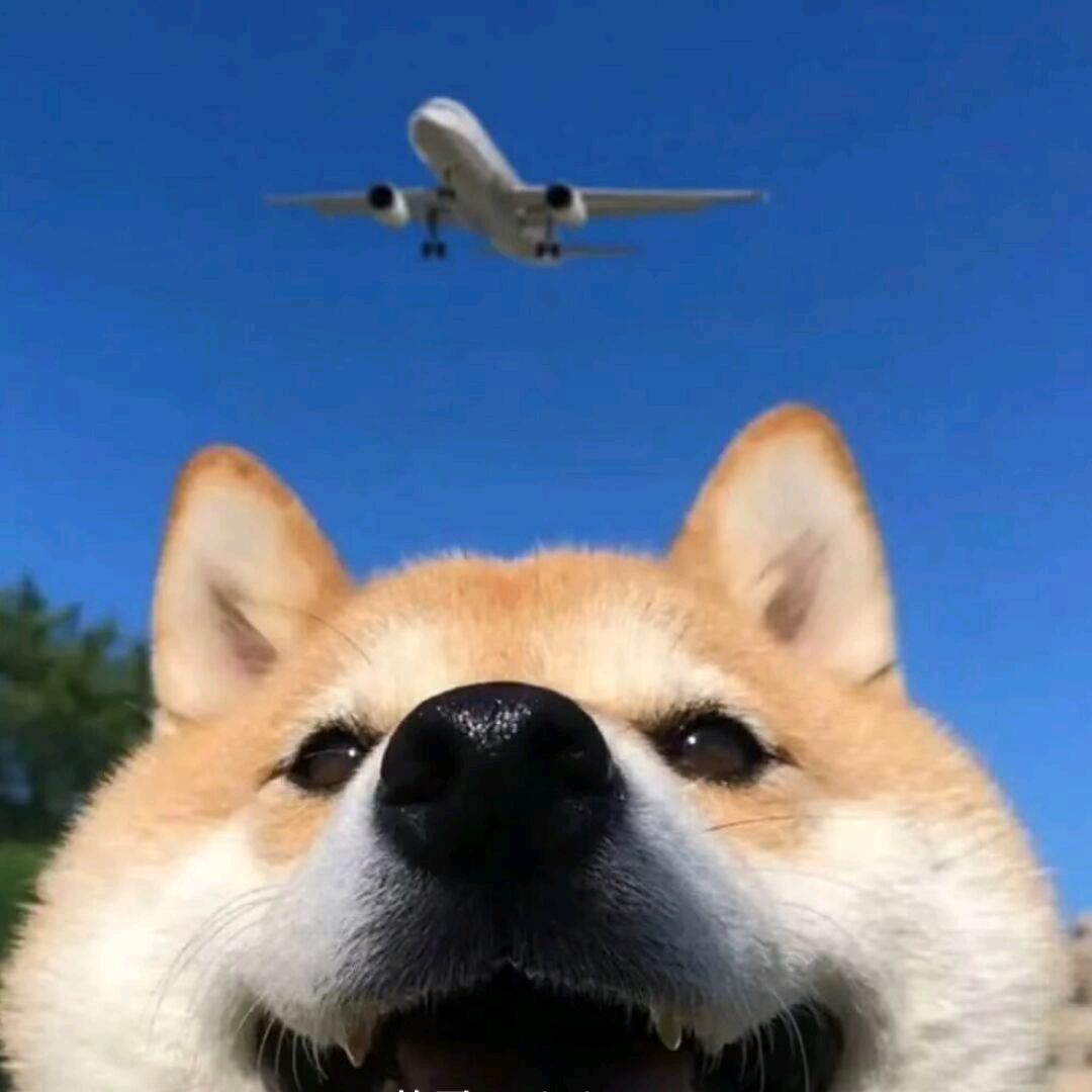 不想吃辣堡