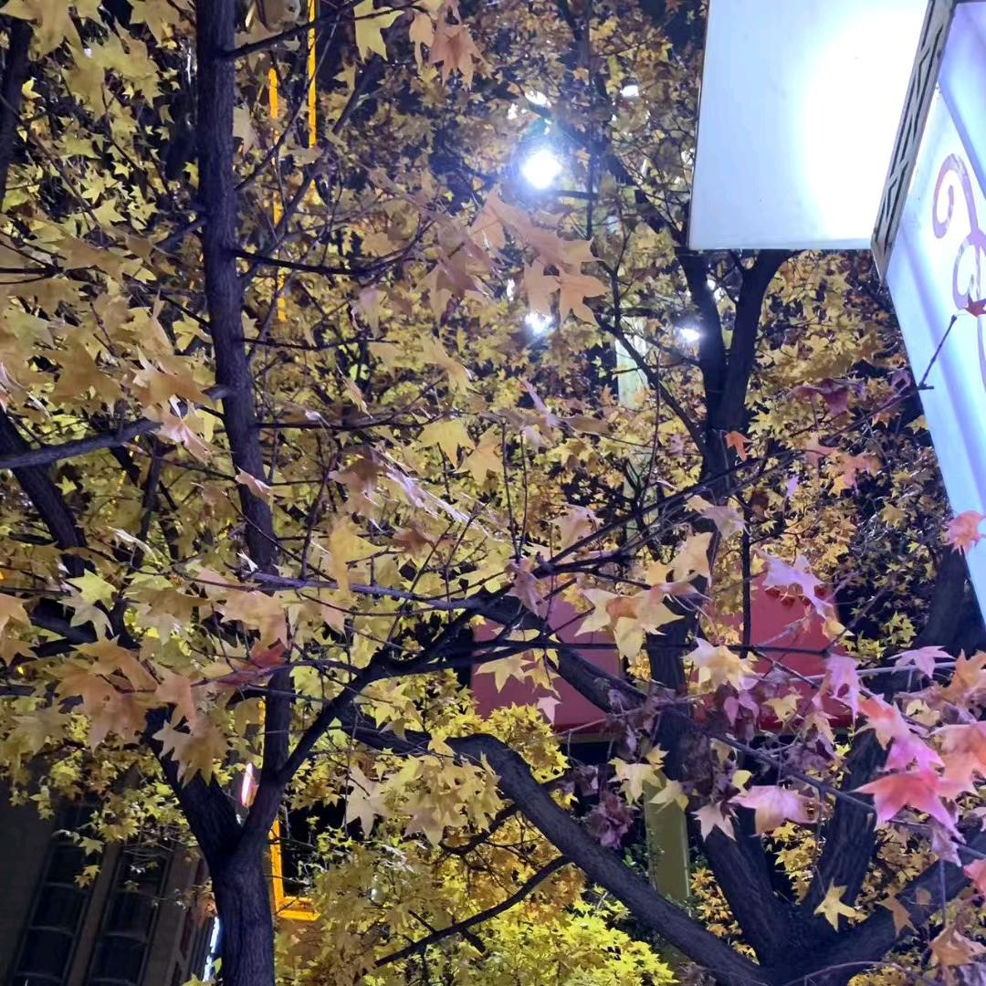 干不完的活
