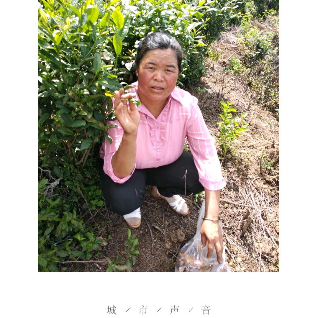 愿望实现