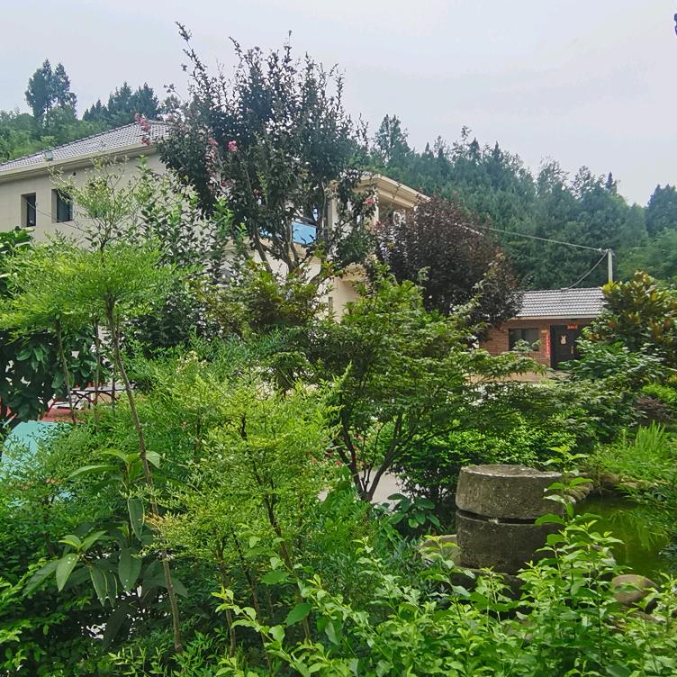 时间煮雨