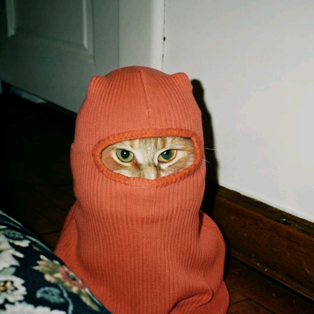 栎